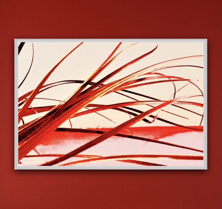 Art Room Red Grass
